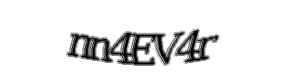 Security check image, please type the characters shown