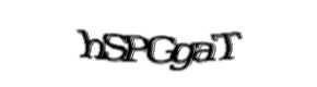 Security check image, please type the characters shown