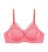 DESERT ROSE
