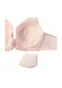 レッドレーベル バイ トリンプ0117 ブラジャー