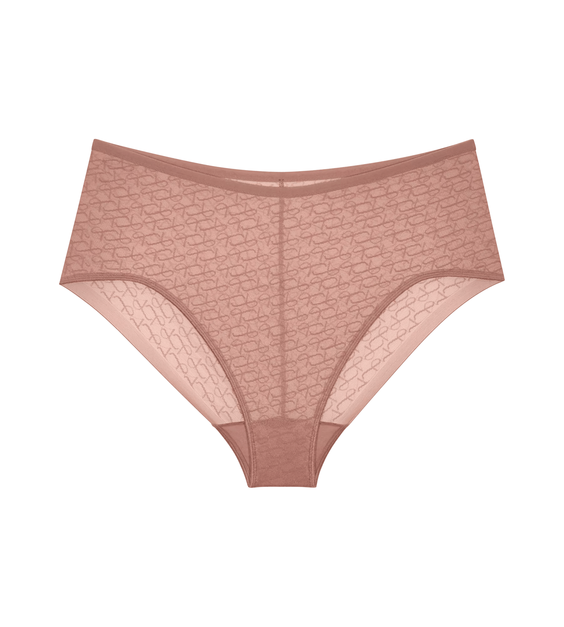 Triumph Signature Sheer Maxi EX Briefs Image 2