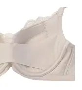 【SALE】トリンプ プレミアム ゴールドレーベル4001 ブラジャー(パッドなし), グレー, product image number 3