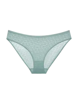 TRIUMPH SIGNATURE SHEER