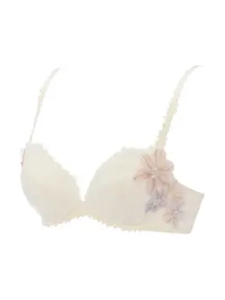 フロラーレ バイ トリンプ 519 ブラジャー1