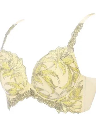 レッドレーベル バイ トリンプ0113 ブラジャー