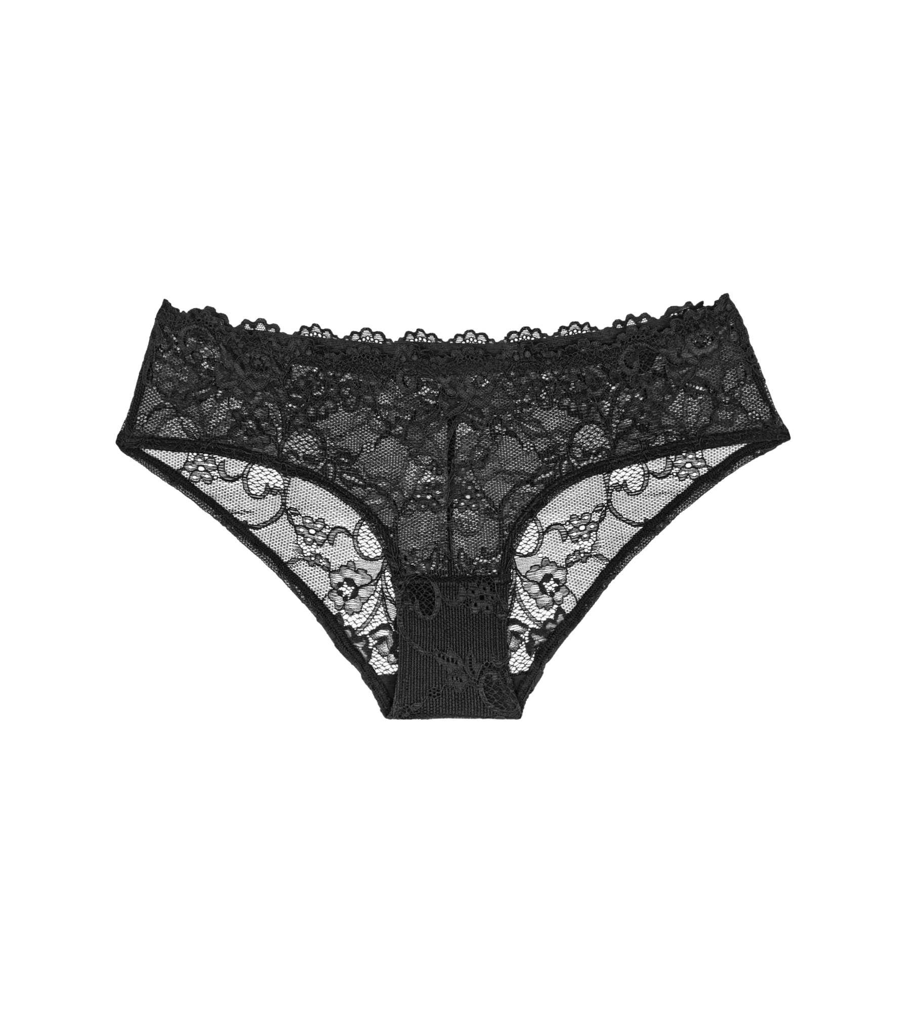 Tempting Lace Hipster Brief Image 3