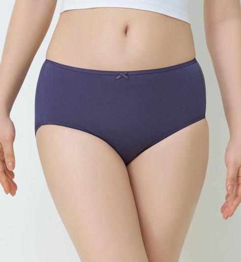 Triumph Pure Breeze Maxi - Slate - Single Panty