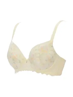 レッドレーベル バイ トリンプ0121 ブラジャー