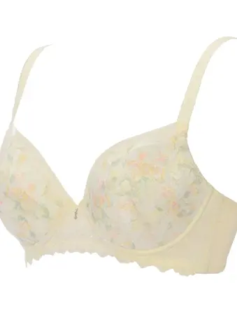 レッドレーベル バイ トリンプ0121 ブラジャー