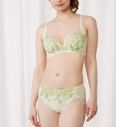 【SALE】トリンプ プレミアム ゴールドレーベル4002 ブラジャー(パッドなし), イエロー, model image number 1