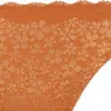 レギュラーショーツ デイジーレース【一部カラーSALE】, 7006, swatch