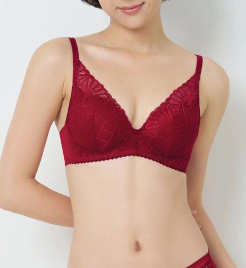 Red Bras: Sexy Red Lingerie | Bold Passion