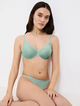 TRIUMPH SIGNATURE SHEER