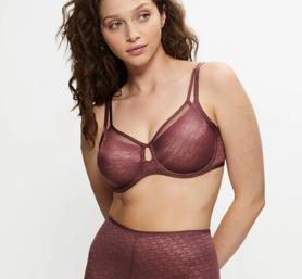 TRIUMPH SIGNATURE SHEER