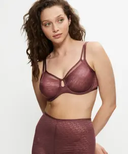 TRIUMPH SIGNATURE SHEER