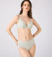 ゴールドレーベル バイ トリンプ4007 はきこみ普通ショーツ, グレー, model image number 1