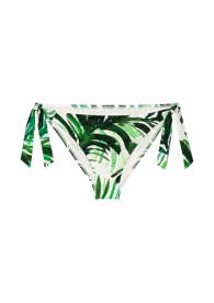 SUMMER PALM