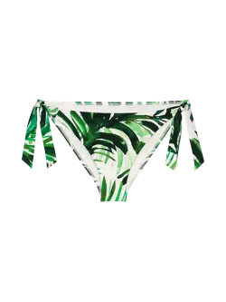 SUMMER PALM