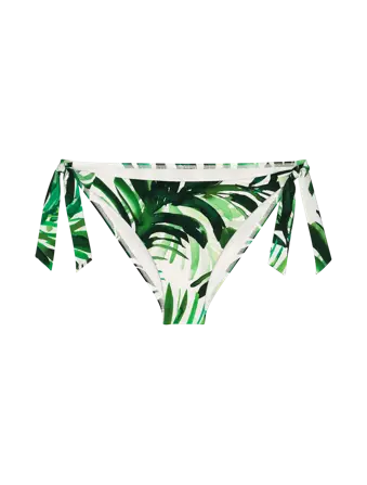 SUMMER PALM