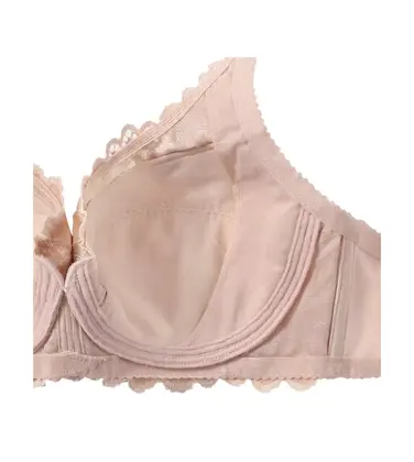 トリンプストーリー