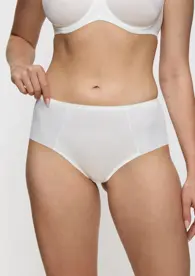 ESSENTIAL MINIMIZER