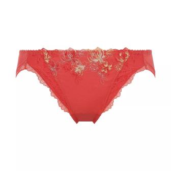 【SALE】レギュラーショーツ カラーバースト, オレンジ, product