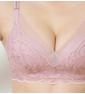 Triumph Shimmer Lace Magic Wire Padded Bra - Rose - Padded