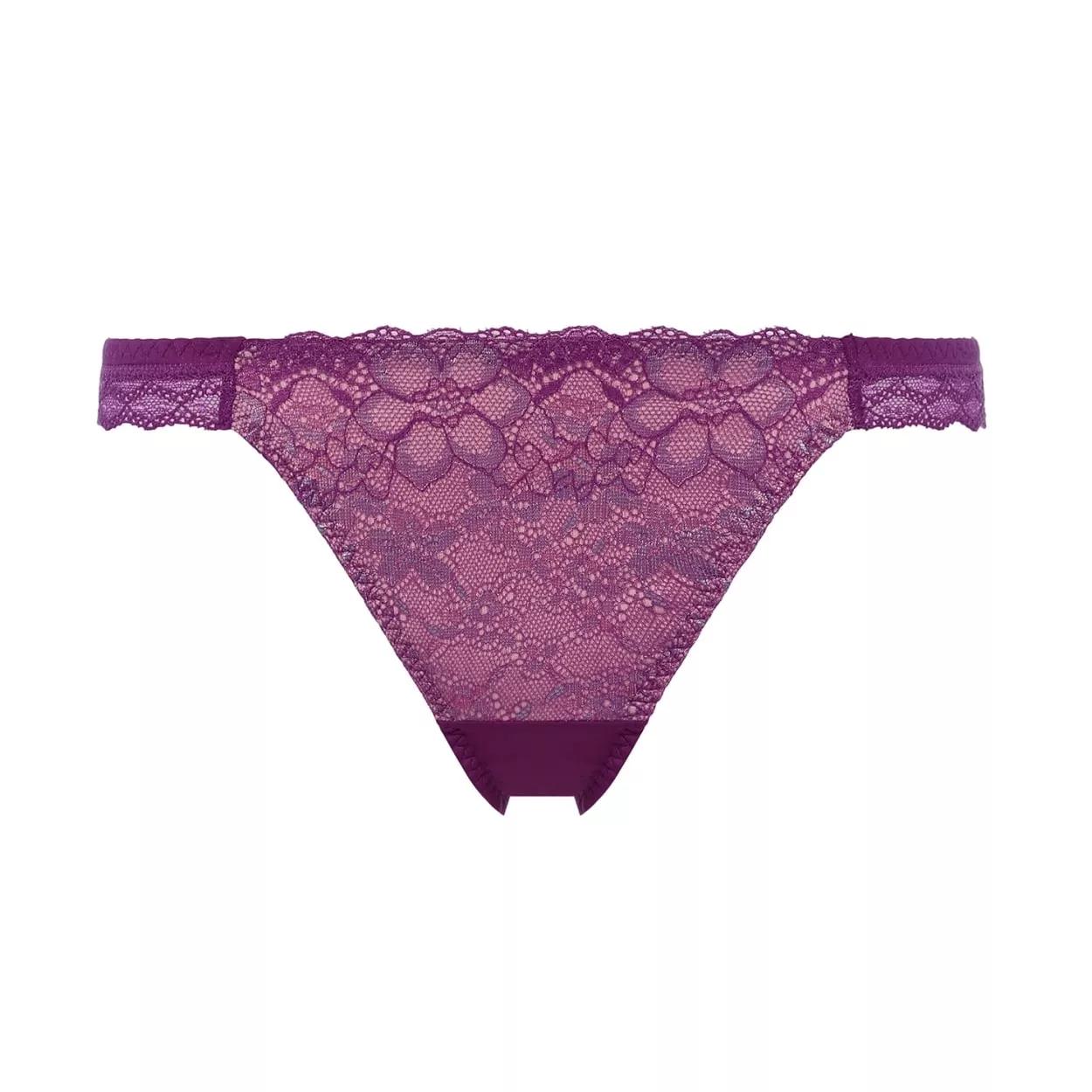 ストリング ドリームデイリリー【一部カラーSALE】, パープル, product image number 0