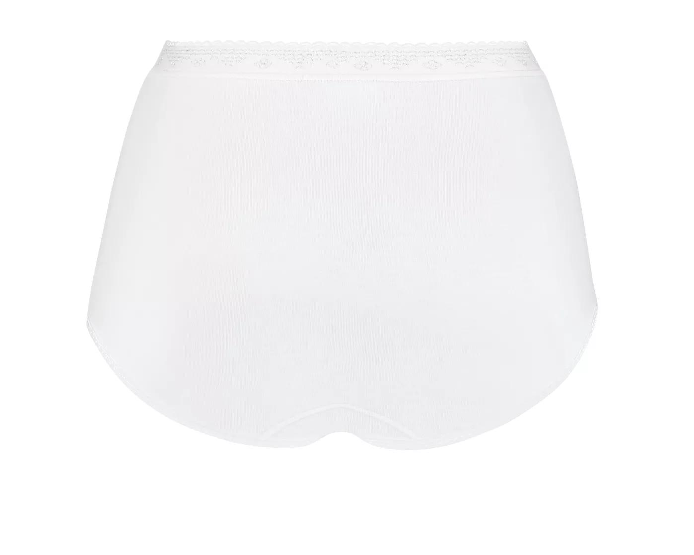 sloggi Control Maxi Brief Image 1