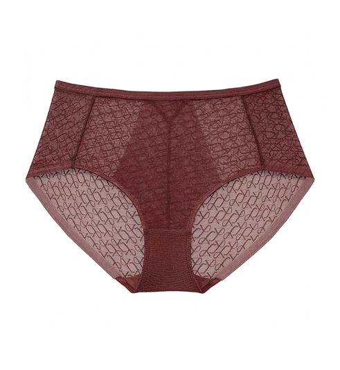 Triumph Signature Sheer Hipster - Decadent chocolate - Hipster Panties