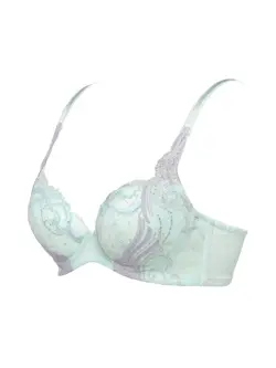 レッドレーベル バイ トリンプ0106 ブラジャー