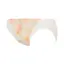【SALE】天使のブラ(R) スリムライン582 レギュラーショーツ3, ベージュ, product image number 2