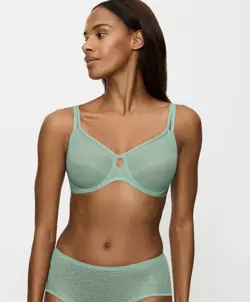 TRIUMPH SIGNATURE SHEER