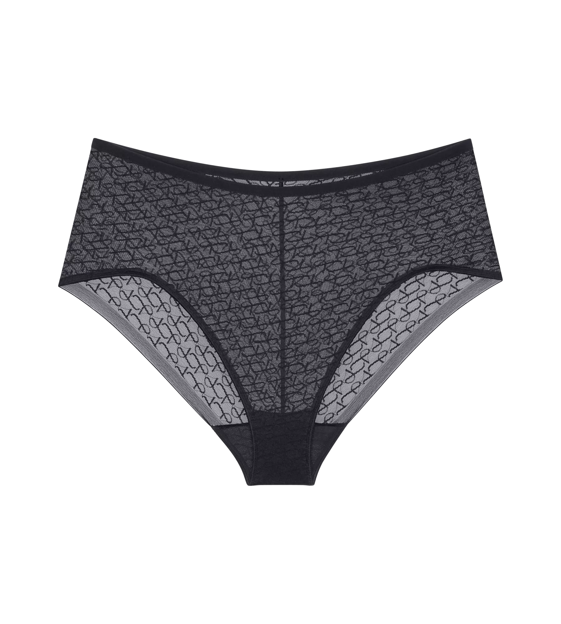 Triumph Signature Sheer Maxi EX Briefs Image 5