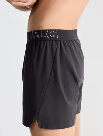 SLG