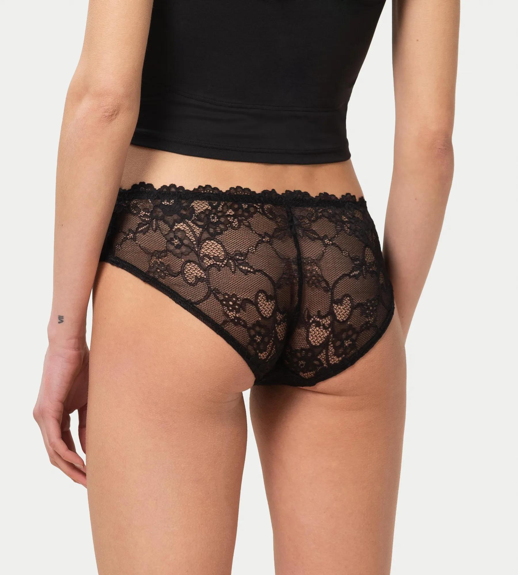 Tempting Lace Hipster Brief Image 2