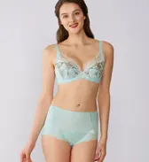 トリンプ プレミアム ゴールドレーベル4005 ブラジャー(パッドなし), ブルー, model image number 1