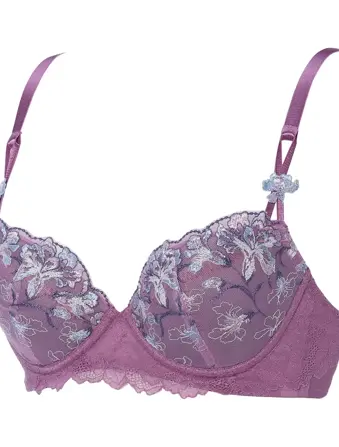 レッドレーベル バイ トリンプ0109 ブラジャー