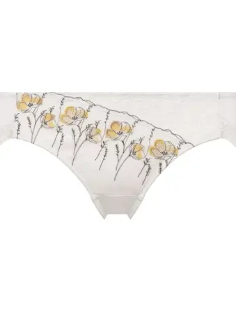 【WEB限定】レギュラーショーツ プレスド フラワー