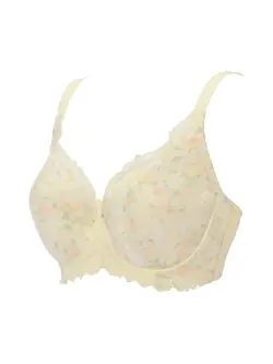 レッドレーベル バイ トリンプ0121 フルカップブラジャー
