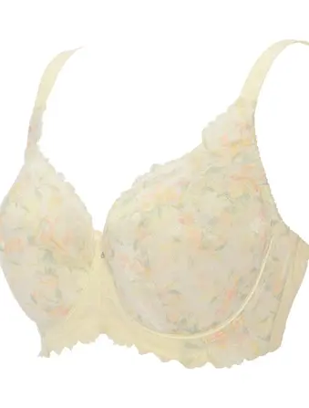 レッドレーベル バイ トリンプ0121 フルカップブラジャー