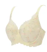 レッドレーベル バイ トリンプ0121 フルカップブラジャー, イエロー, product image number 2