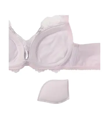 ウィンターリリー