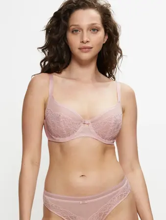 O - BEAUTY LILY T