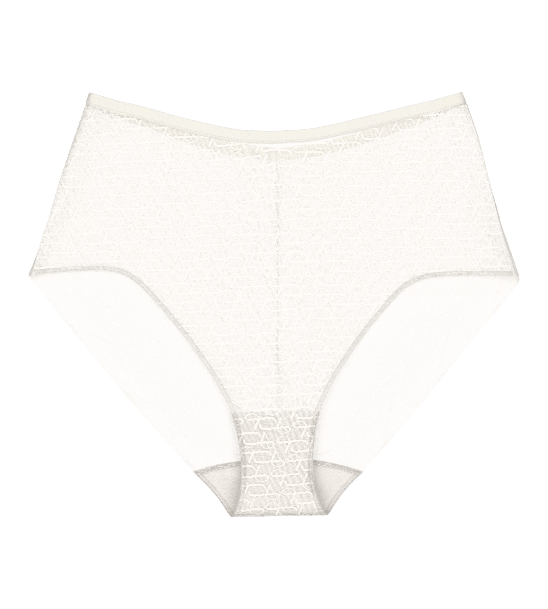 Triumph Signature Sheer Maxi EX Briefs Image 4