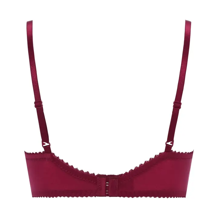 夢みるブラ DeepV ブラジャー ビューティー＆ローズ, レッド, product image number 1