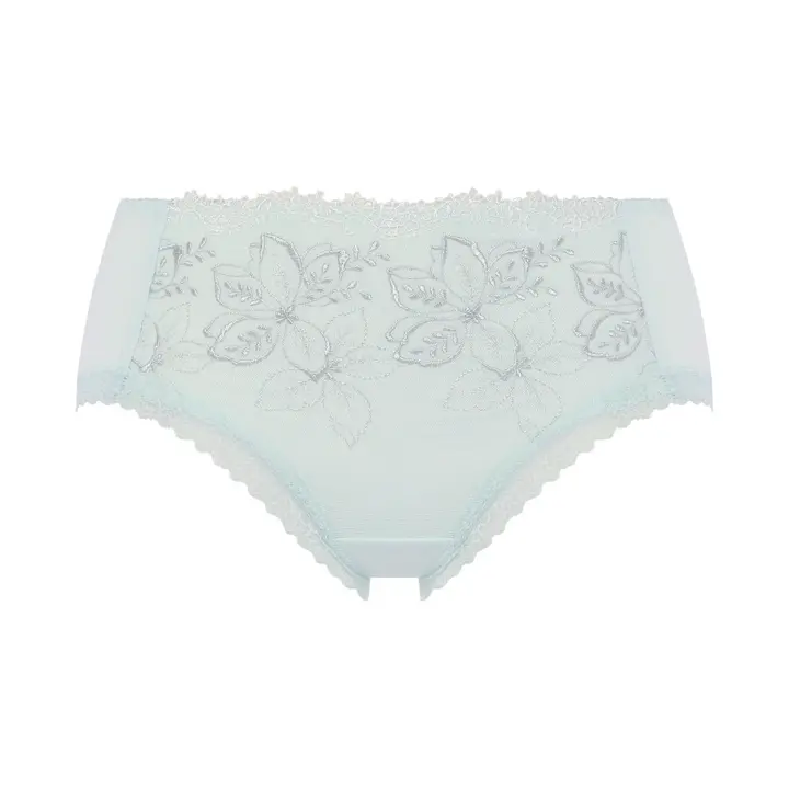 ゴールドレーベル バイ トリンプ4009 はきこみ普通ショーツ, ブルー, product image number 0