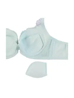 レッドレーベル バイ トリンプ0106 ブラジャー