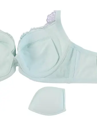 レッドレーベル バイ トリンプ0106 ブラジャー