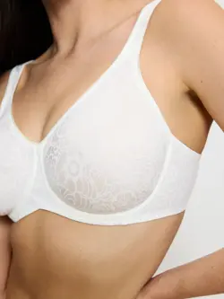 LOVELY MINIMIZER
